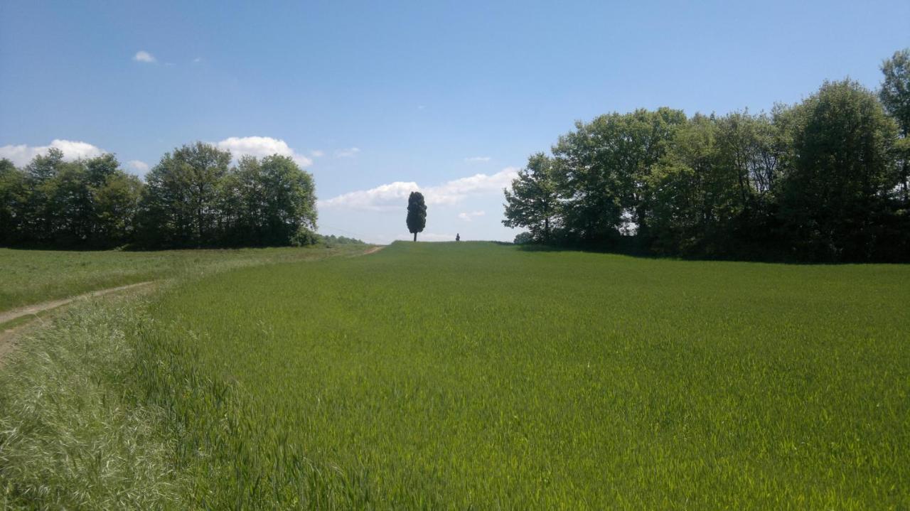 Appartamento Miralago Bolsena Exteriér fotografie