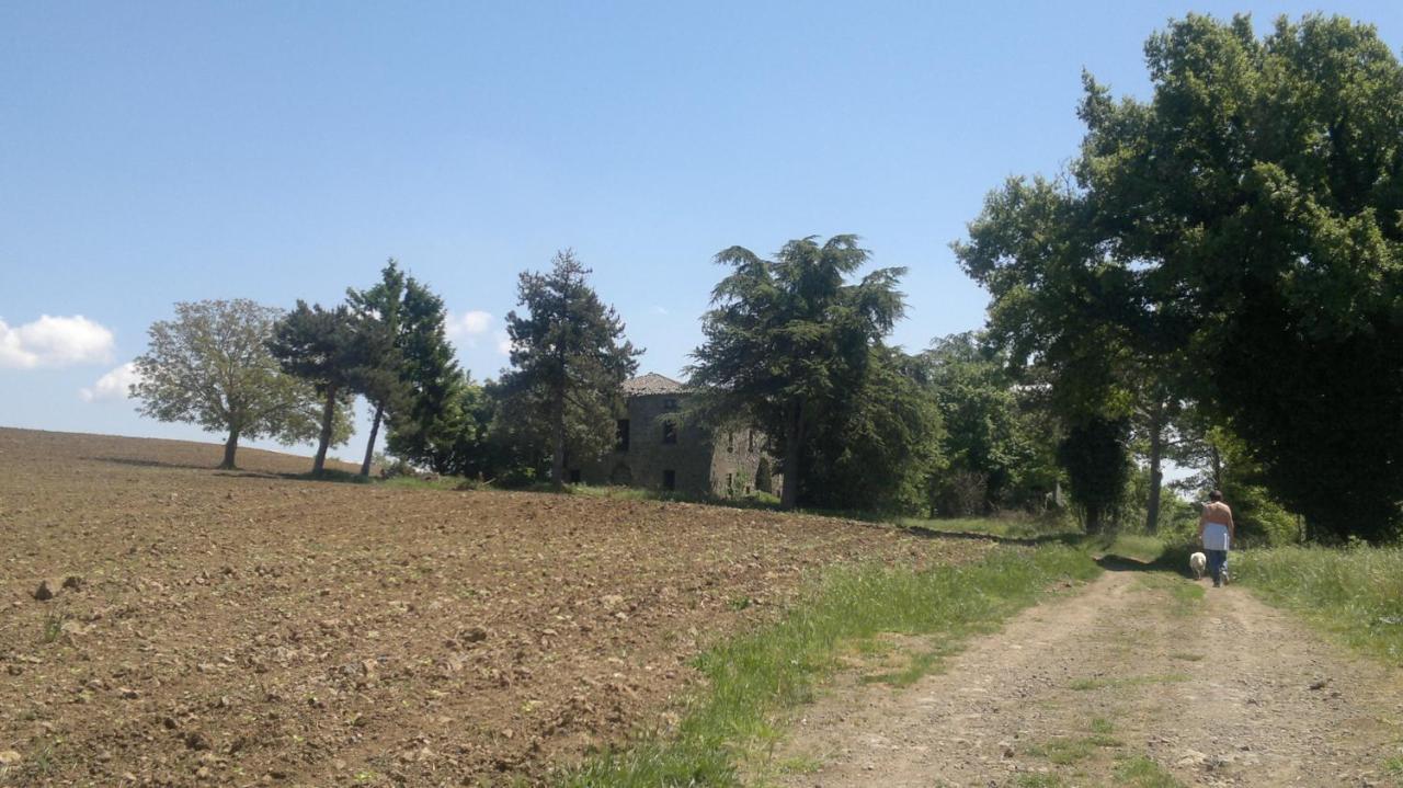Appartamento Miralago Bolsena Exteriér fotografie